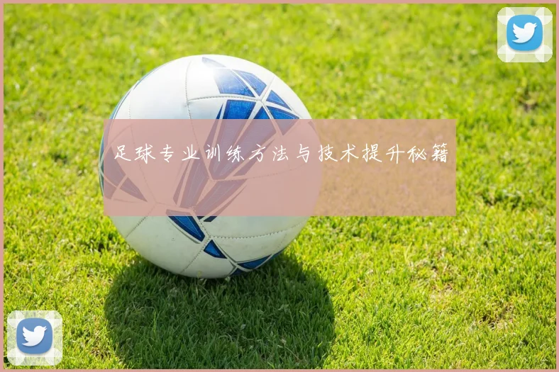 足球专业训练方法与技术提升秘籍